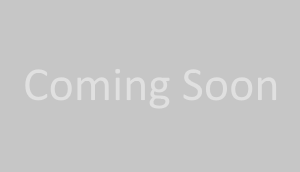 holdingpage Logo